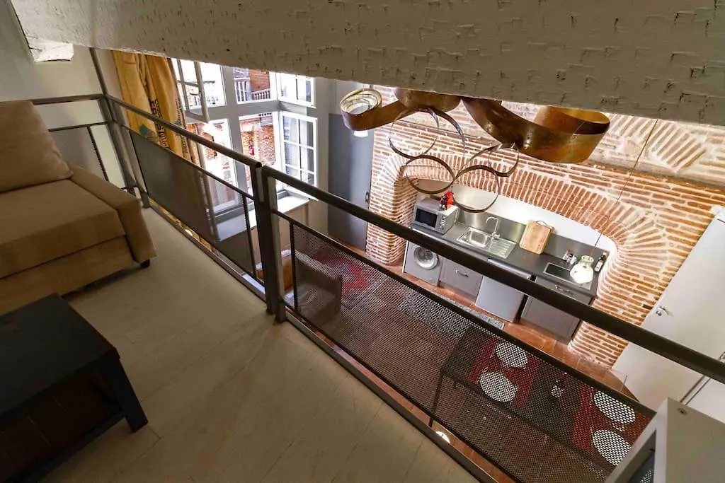 Duplex Climatise Dans Un Monument Historique Apartment Toulouse
