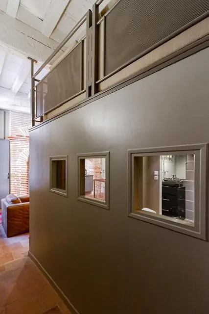 Duplex Climatise Dans Un Monument Historique Apartment Toulouse 0*,
