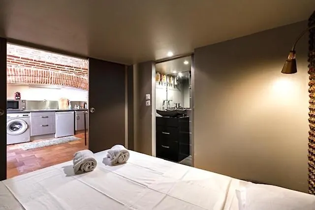 Duplex Climatise Dans Un Monument Historique Apartment Toulouse
